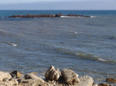 Enlarge photo 87