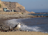 Enlarge photo 90