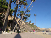 Enlarge photo 92
