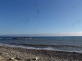 Enlarge photo 96