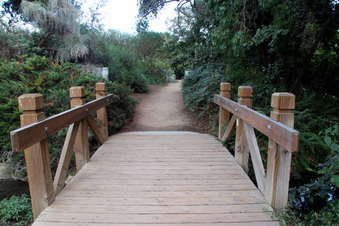 Fullerton Arboretum next to soccer field