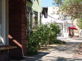 Enlarge photo 44