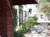 Enlarge photo 45