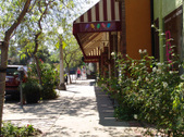 Enlarge photo 47