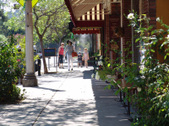 Enlarge photo 48