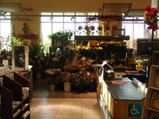 Enlarge photo 63
