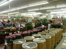 Enlarge photo 14