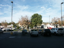 Enlarge photo 55