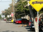 Enlarge photo 26