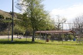 Enlarge photo 41