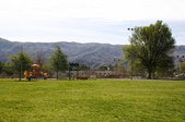 Enlarge photo 43