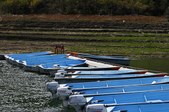 Enlarge photo 36