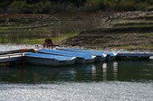 Enlarge photo 45