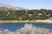 Enlarge photo 68