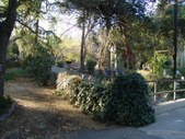 Enlarge photo 25
