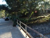 Enlarge photo 32