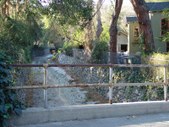 Enlarge photo 35