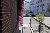 Enlarge photo 27