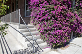 Enlarge photo 33