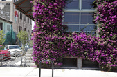 Enlarge photo 36