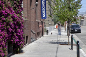 Enlarge photo 41