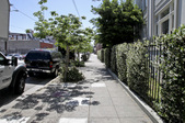 Enlarge photo 44
