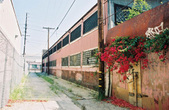 Enlarge photo 105