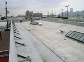 Enlarge photo 85