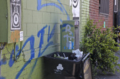 Enlarge photo 35
