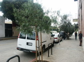 Enlarge photo 30