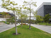 Enlarge photo 17