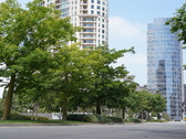 Enlarge photo 25