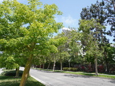 Enlarge photo 32