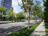 Enlarge photo 33