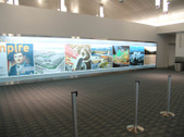 Enlarge photo 71