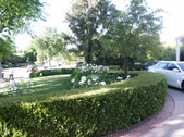 Enlarge photo 124