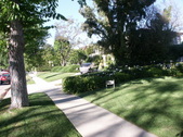 Enlarge photo 128