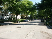 Enlarge photo 135