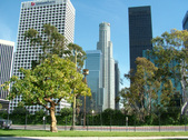 Enlarge photo 154