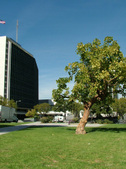 Enlarge photo 155