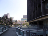 Enlarge photo 37