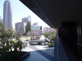 Enlarge photo 44