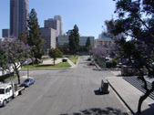 Enlarge photo 47