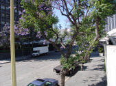 Enlarge photo 61