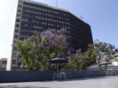 Enlarge photo 63