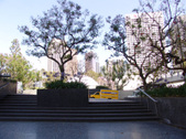 Enlarge photo 70