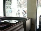 Enlarge photo 36