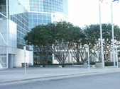 Enlarge photo 38