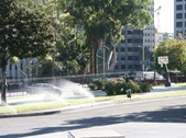 Enlarge photo 66