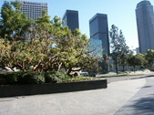 Enlarge photo 67